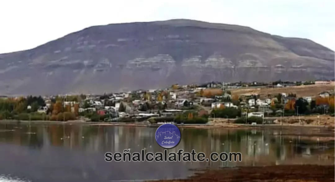 calafate gris